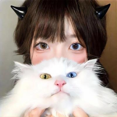 西部战线在线观看